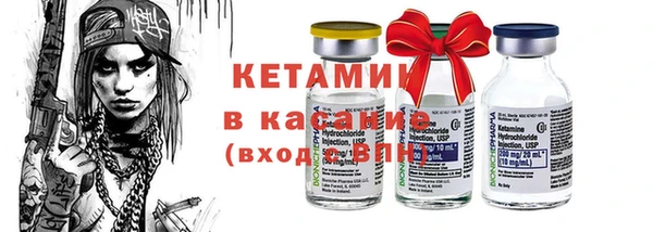 шишки Снежногорск