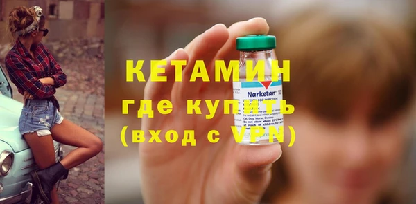 шишки Снежногорск