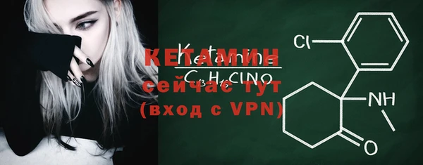 шишки Снежногорск