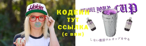 хмурый Сосновоборск