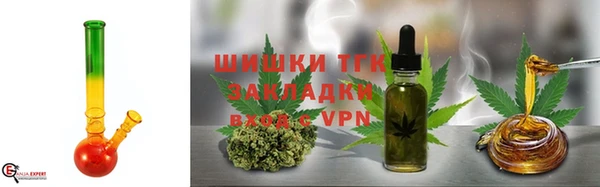 шишки Снежногорск