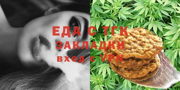 шишки Снежногорск