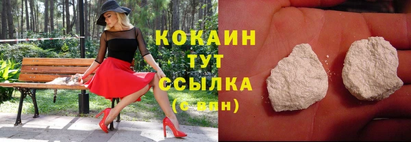 шишки Снежногорск