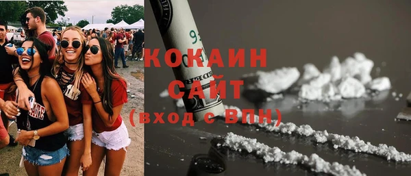 шишки Снежногорск