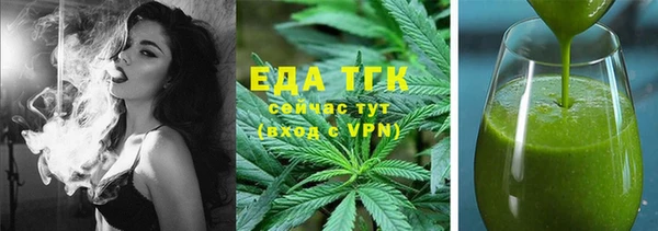 шишки Снежногорск