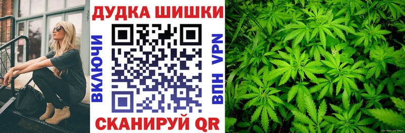 Купить закладки  Зеленоградск  Шишки марихуана план 